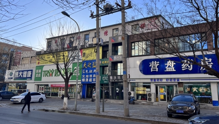 医药连锁,中国市场,单体药店,业绩