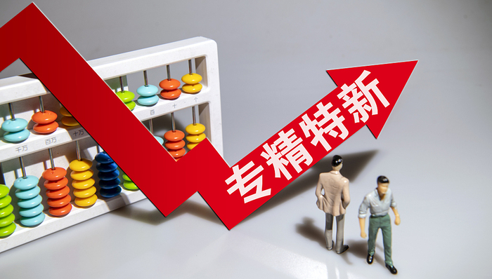 上海,专精特新,小巨人,中小企业服务专员