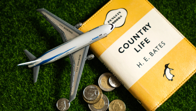 出入境限制再放宽，时隔3年国际客运航班量重回500班