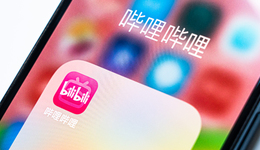 B站的2022：營收219億，投資18家動(dòng)漫文娛公司