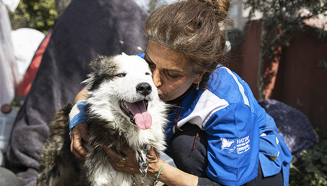 每周奇趣掠影丨土耳其地震现“狗坚强”；埃及胡夫金字塔内发现“神秘空间”新通道