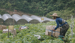 編輯部聊天室 | 厭倦了辦公室想做點(diǎn)體力活，你是認(rèn)真的嗎？