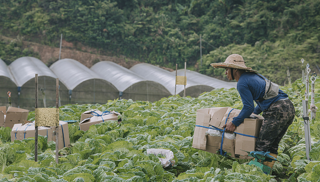 编辑部聊天室 | 厌倦了办公室想做点体力活，你是认真的吗？