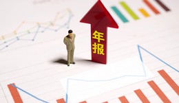 年報(bào)搶先看 | 寧德時(shí)代凈賺最高315億元，這七家公司凈利翻倍式增長(zhǎng)