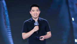 四季度凈利潤2.65億，毛利率近20%，理想汽車要率先“上岸”？