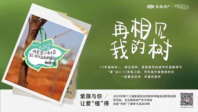 再相见，我的树，寻找13年来与紫薇一起植绿的你