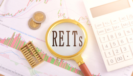 在沪全国人大代表：支持民营产业园发行REITs，研究制定民营经济促进法｜两会·最希望