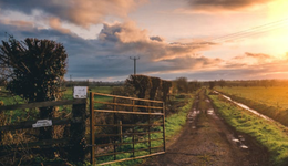 种田综艺，别生掰硬拗