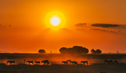 巨大的非洲光伏市場，是誰在搞錢？