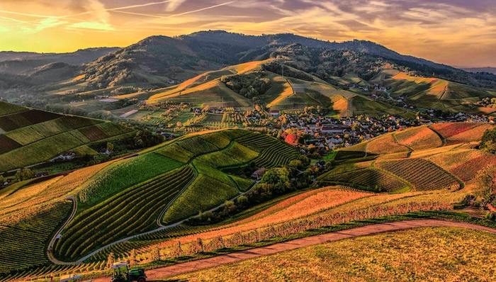 乡村振兴,旅游业,标准化,