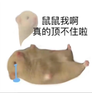 文学,流行音乐,流行文化
