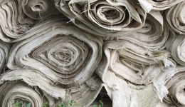 教授带队，学生做CEO，这条超高门槛的新赛道里挤满了红杉、高瓴们