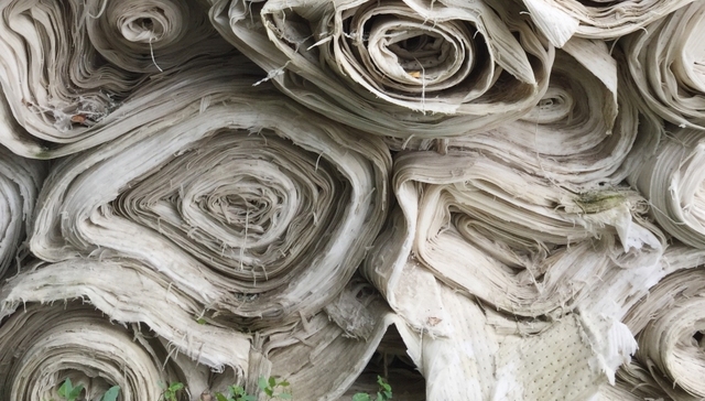 碳中和,创投,红杉资本,高瓴资本,可降解材料