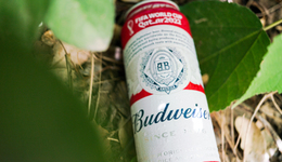 啤酒跑不出“茅台”？啤酒“领头羊”百威亚太收入利润双降