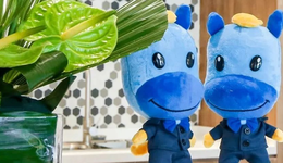 保險電商第一股如何翱翔？慧擇連續(xù)虧損，老板馬存軍瘦身