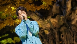 头部浅浅回血，2023综艺招商“回暖”仍有时差