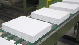 岳阳林纸营收净利创新高，去年四季度高管大手笔减持