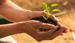 代表委員熱議鄉(xiāng)村振興：根本在于產(chǎn)業(yè)發(fā)展 | 兩會(huì)·最聚焦