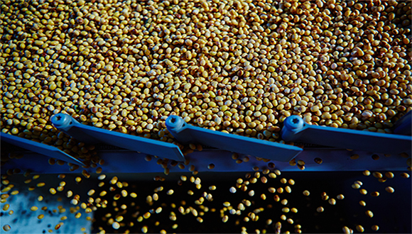 原材料豆粕价格大幅下跌，海大、唐人神、新希望六和等多家企业饲料产品降价