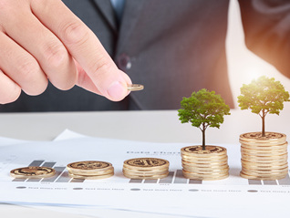 又有6股创新高！年内历史新高股复盘，4个行业频出牛股