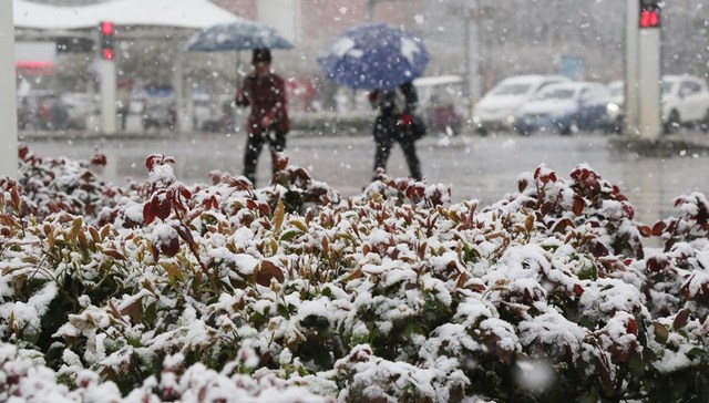 地方新闻精选 | 河南多地发布暴雪红色预警 浙江城乡居民收入倍差连续10年缩小