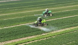 高標準農(nóng)田成農(nóng)村建設(shè)項目違法違紀高發(fā)地帶