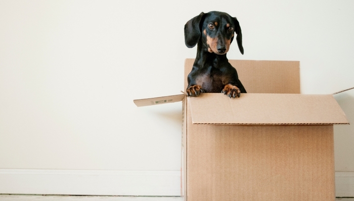 玖龙纸业,业绩,股价,造纸女王,张茵,身家