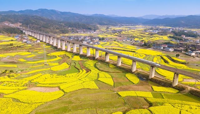 超预期降准的背后：经济基本面究竟有什么变化？