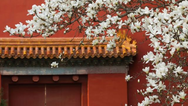 超预期降准的背后：政策思路有什么变化？