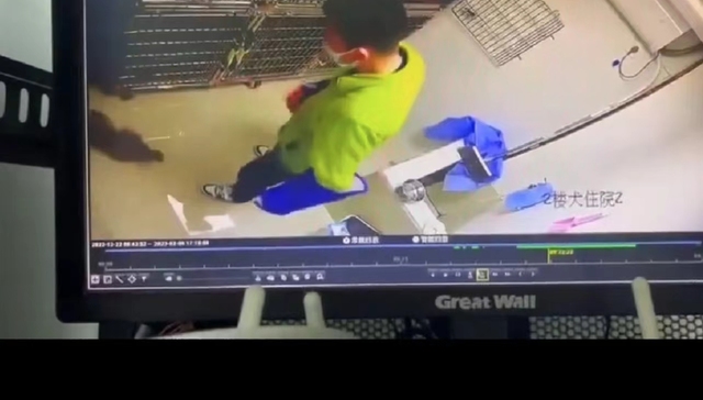 IPO中的最大宠物医院新瑞鹏被爆“虐猫”，家长们还能放心吗？