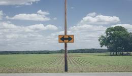 分岔路口，“蔚小理”走向何方？