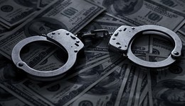 直通部委 | “天网2023”行动正式启动 我国森林覆盖率升至24.02%