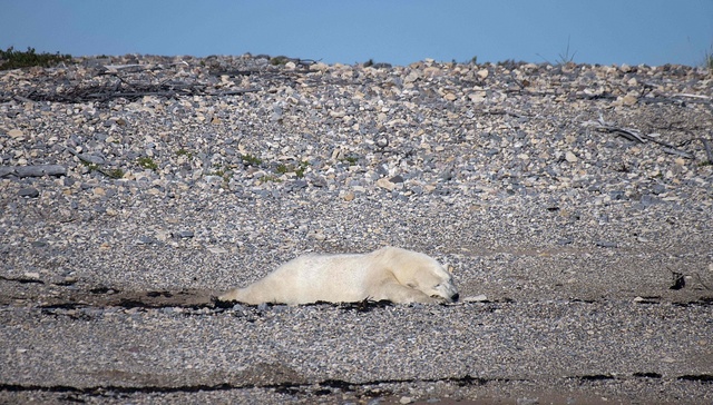 IPCC报告：应对气候危机，2030年温室气体排放量需减少近一半