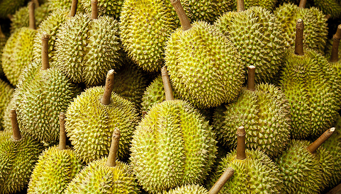 榴莲,洪九果品