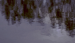 直通部委 | 本輪強沙塵暴天氣影響1212個縣約5.6億人 2022年高等教育毛入學率達59.6%