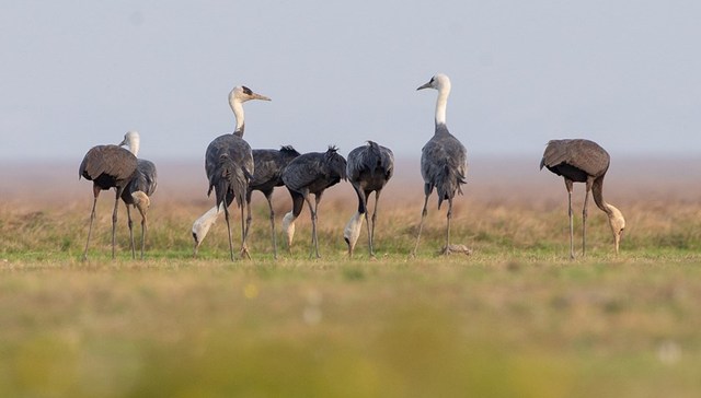 地方新闻精选 | 鄱阳湖都昌站水位突破9米关口 游客在长城上刻字被行拘并罚款