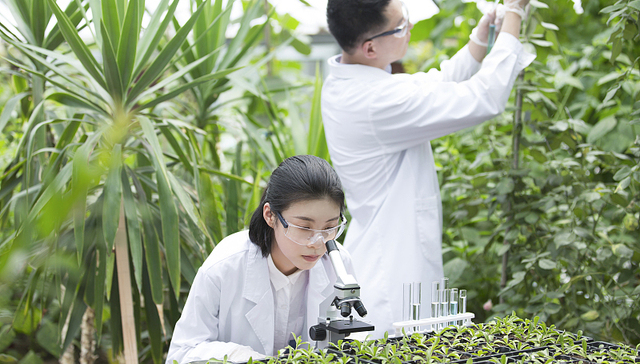 从农大学毕业生五年内增长43%，月收入、就业满意度均上升