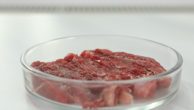 4个月内融资2次，这家细胞肉公司持续降低成本