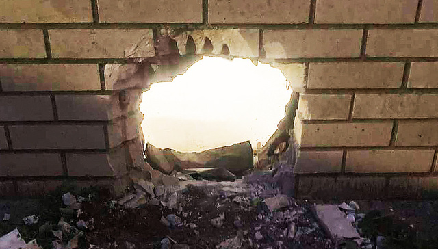 每周奇趣掠影丨“特朗普被捕”AI图片合成传播引担忧；美国两囚犯用牙刷挖洞越狱