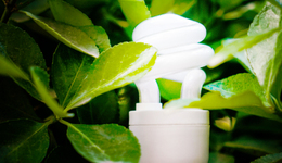 營(yíng)收過百億凈利才5000多萬(wàn)，誠(chéng)志股份滑向虧損邊緣