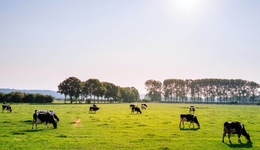 越秀辉山“凶猛”回归，提3年百亿凭什么？