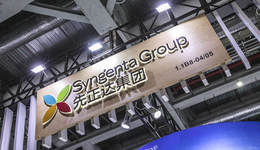 先正达集团IPO审议会议临时取消