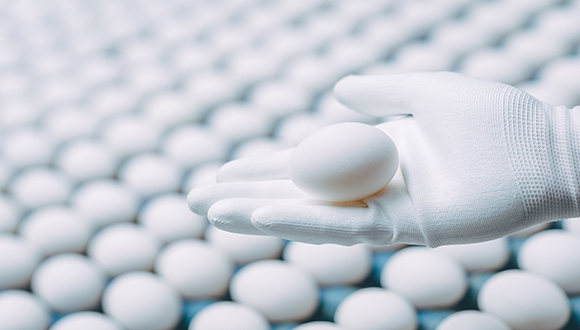 日美蛋荒之下中国禽产品出口飙升，产品安全标准成产业链重要议题