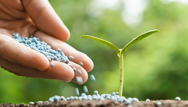 复合肥行业巨头纷纷盈利，世纪阳光却连续三年亏损处危险边缘