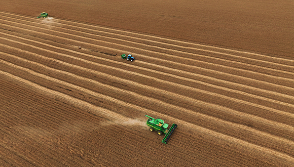 北大荒主营增长不济，净利增长主要源于地产业务