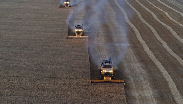 外国巨头退出、国企接手，俄罗斯小麦出口市场正洗牌