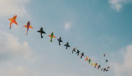 销量暴涨498%，28米卖4000元，这个春天“网红”火了