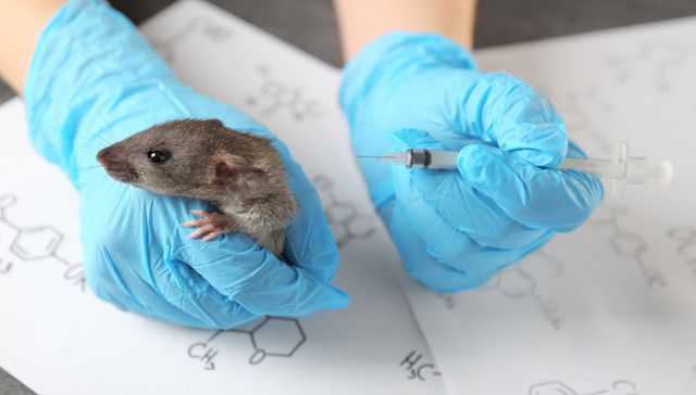 IPO雷达｜采购一只猴子13万元，估值一个月大增64%，红杉、高瓴入股的澎立生物冲科创板