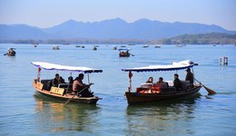 地方新聞精選 | 西湖整治“劃船刺客”3名船工被取消資格 全國首例大象公益訴訟案開庭