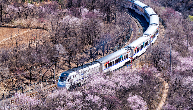 坐着高铁去撸串？各地纷纷推出特色旅游专列